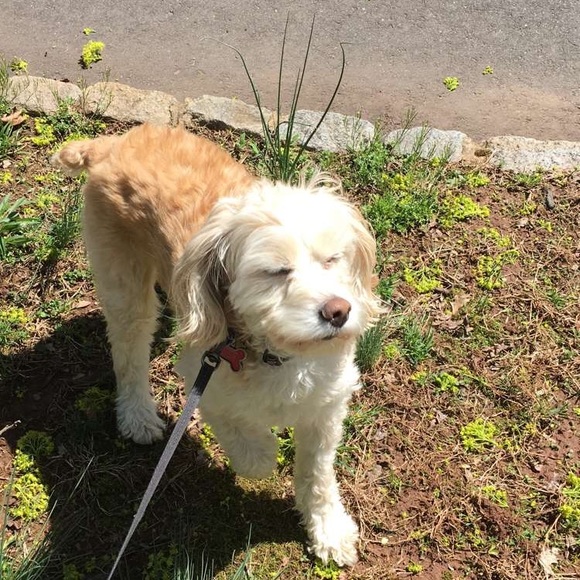 Meet your Posher, Jordyn - Picture 1 of 1